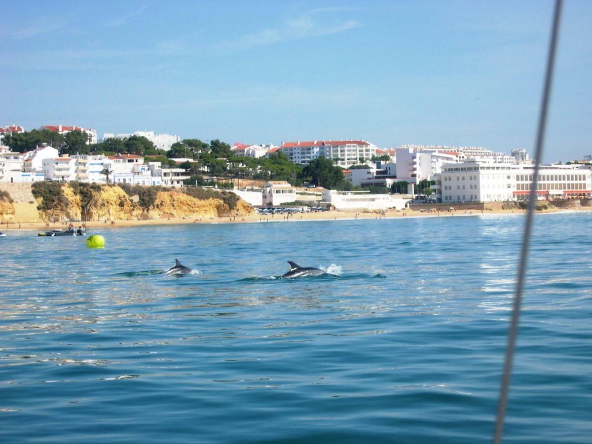 Villa Eber - Independent 1 & 2 Bedroom Apartments, Pool, Air Con, Fast Wi-Fi, Near Old Town Of Albufeira And Beaches Luaran gambar